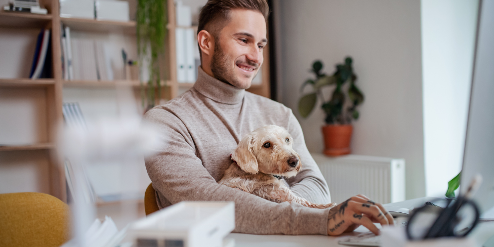 Home Office mit Hund: So klappt’s mit der Konzentration & Kuschelzeit