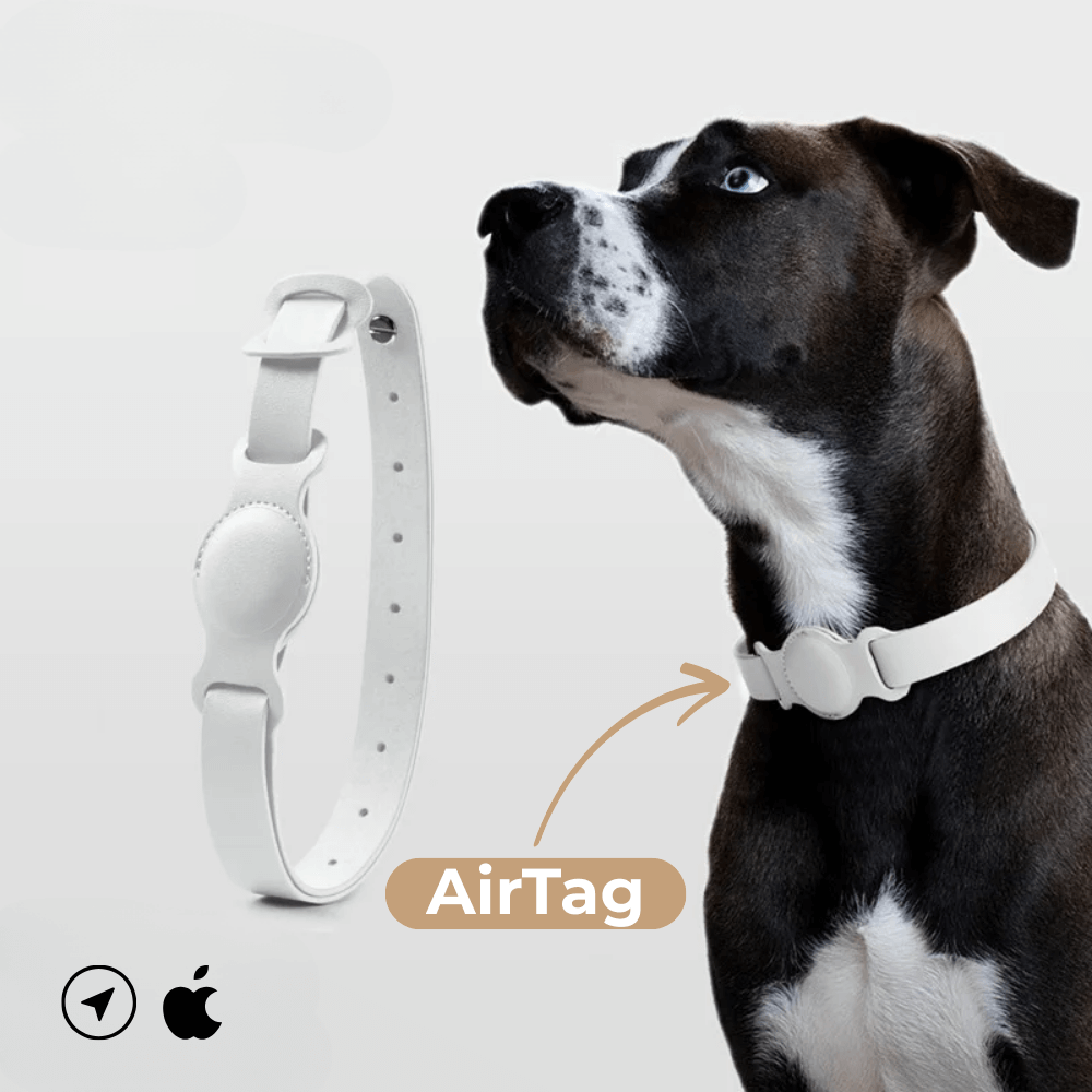 Collier en cuir SafeTrack – avec compartiment AirTag