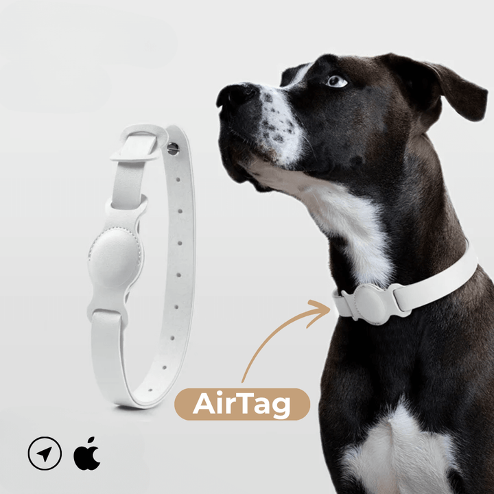 Collier en cuir SafeTrack – avec compartiment AirTag