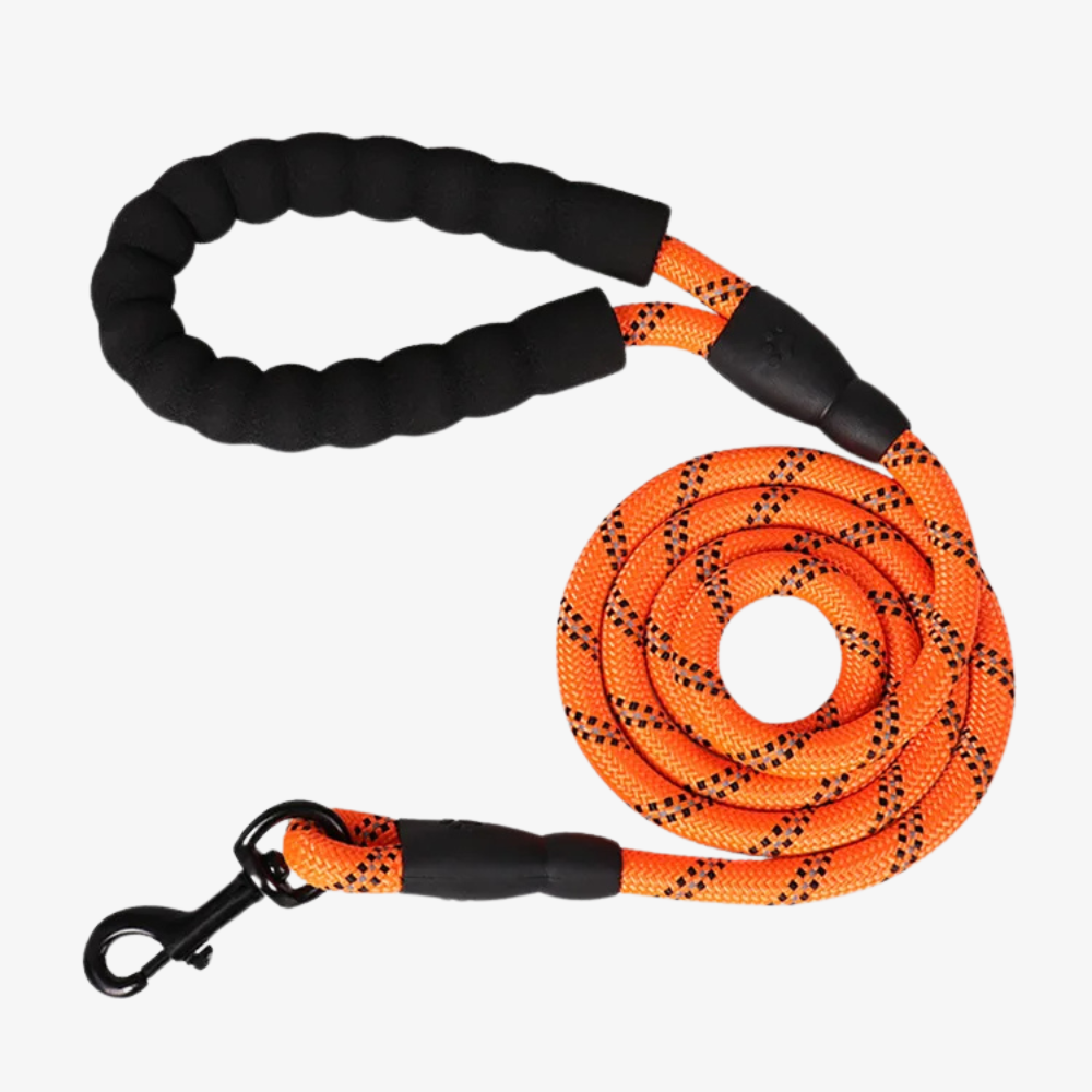 Emmalove - Laisse réfléchissante GlowLeash pour chien