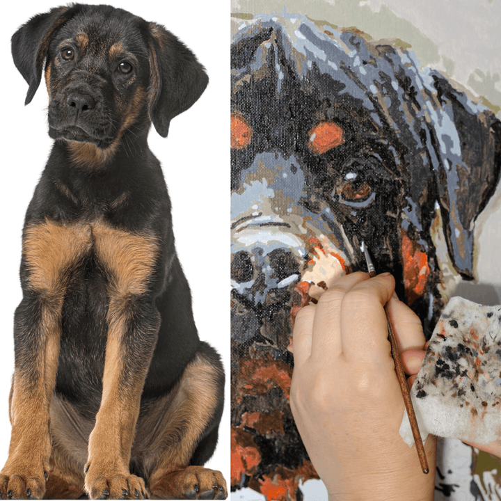 Peinture par numéros - Votre propre chien (avec cadre)