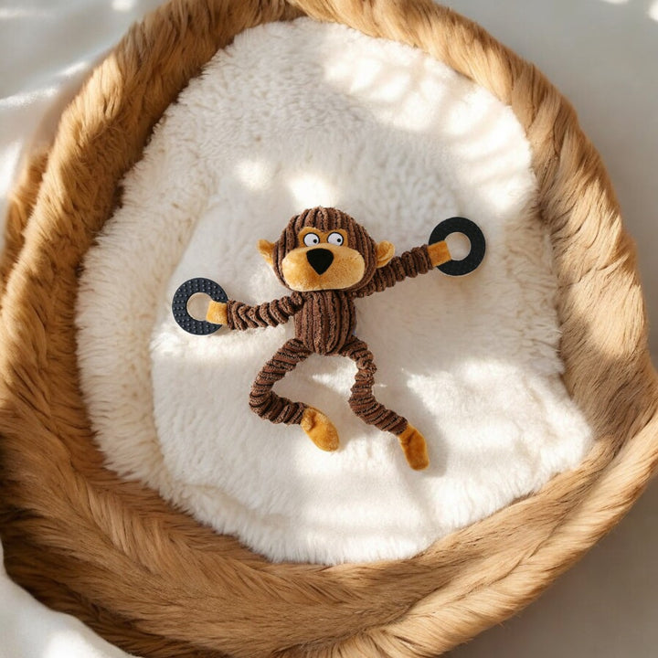 Emmalove - Armin le singe