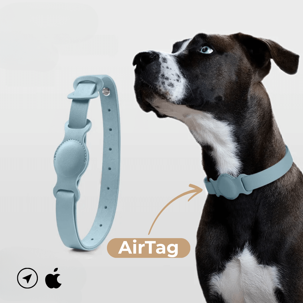 Collier en cuir SafeTrack – avec compartiment AirTag