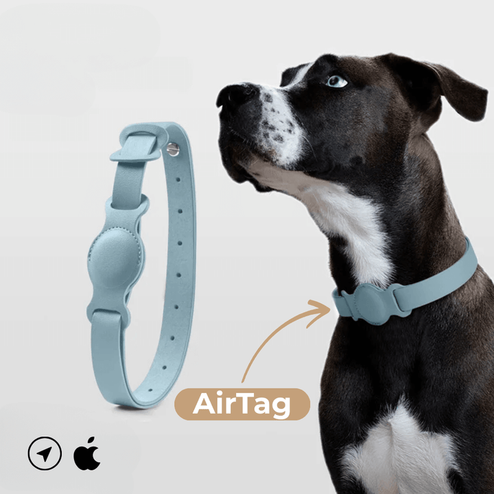 Collier en cuir SafeTrack – avec compartiment AirTag