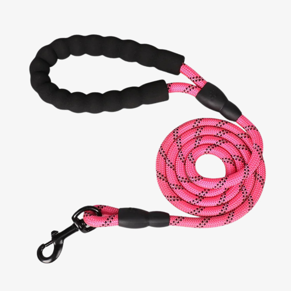Emmalove - Laisse réfléchissante GlowLeash pour chien