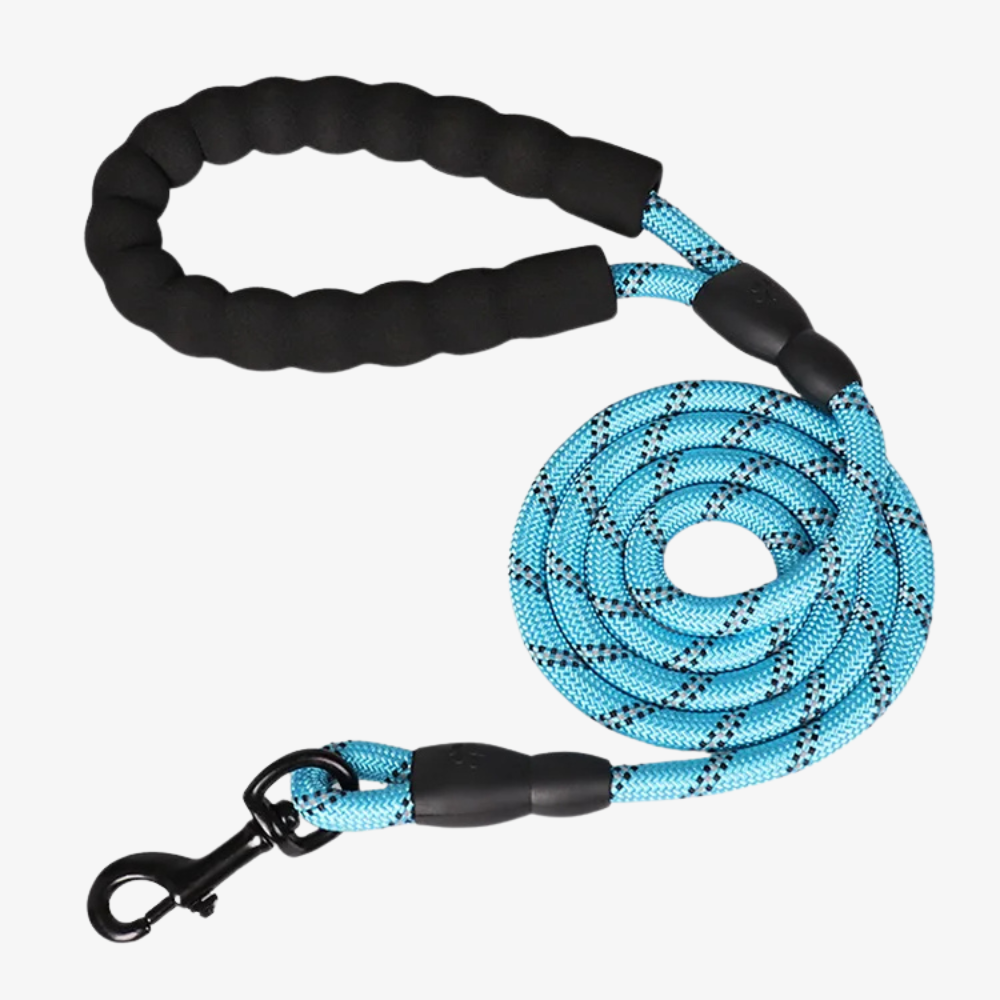 Emmalove - Laisse réfléchissante GlowLeash pour chien