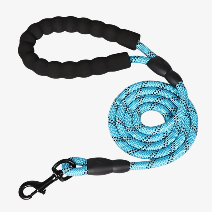 Emmalove - Laisse réfléchissante GlowLeash pour chien