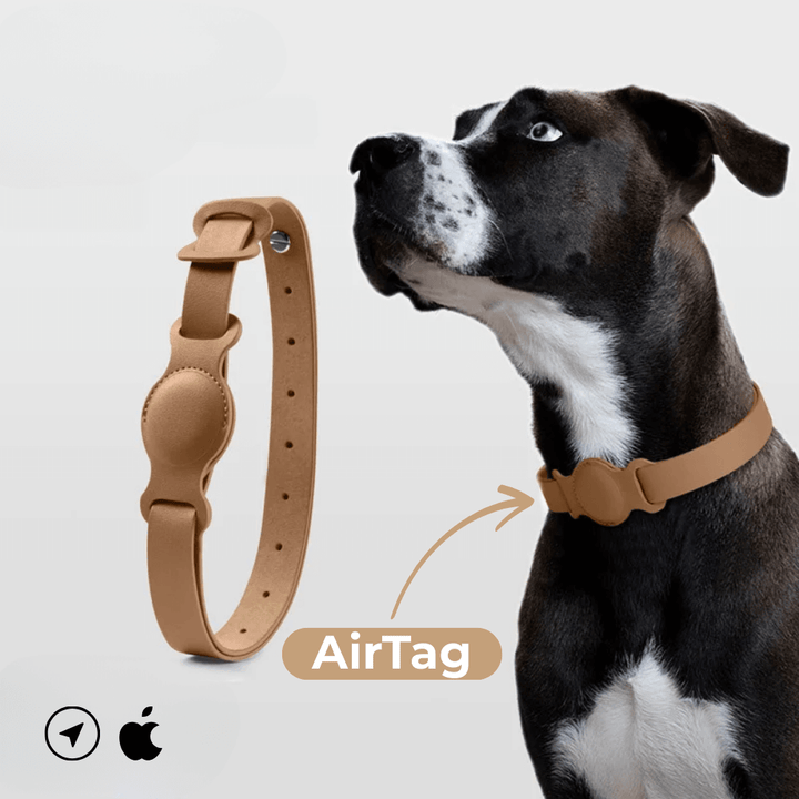 Collier en cuir SafeTrack – avec compartiment AirTag