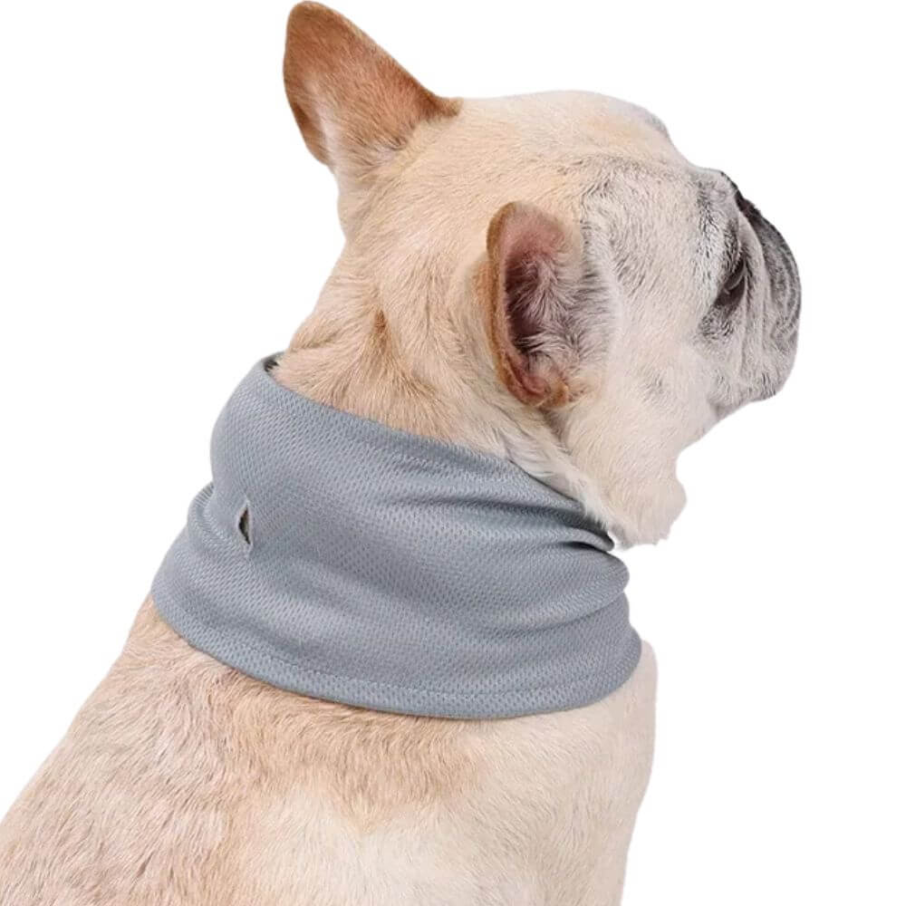 Emmalove - Collier rafraîchissant Cool Comfort™