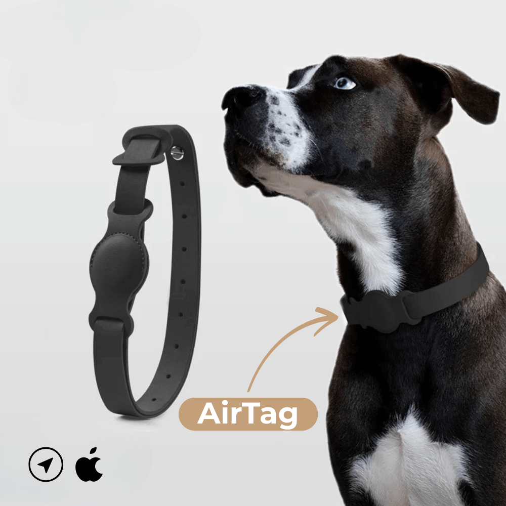 Collier en cuir SafeTrack – avec compartiment AirTag