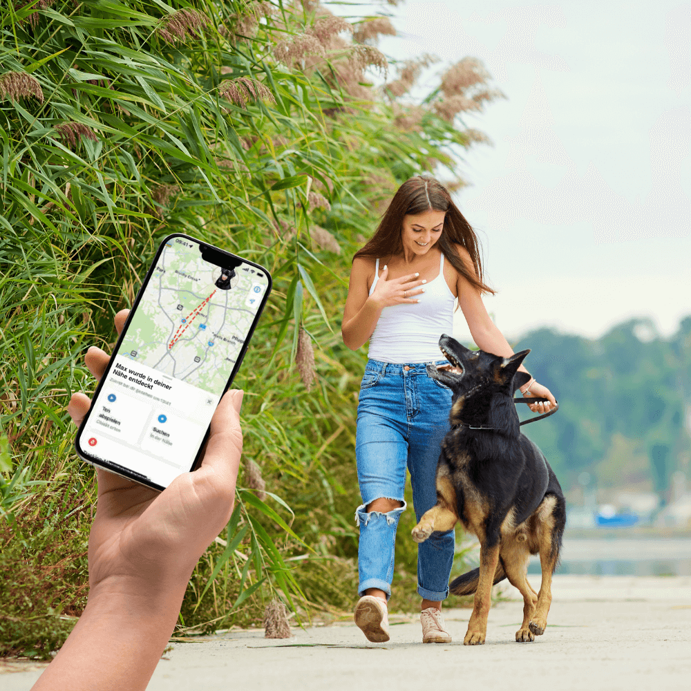 Collier en cuir SafeTrack – avec compartiment AirTag