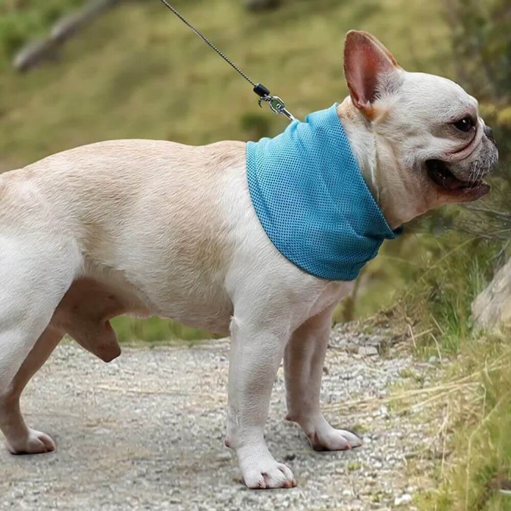 Emmalove - Collier rafraîchissant Cool Comfort™