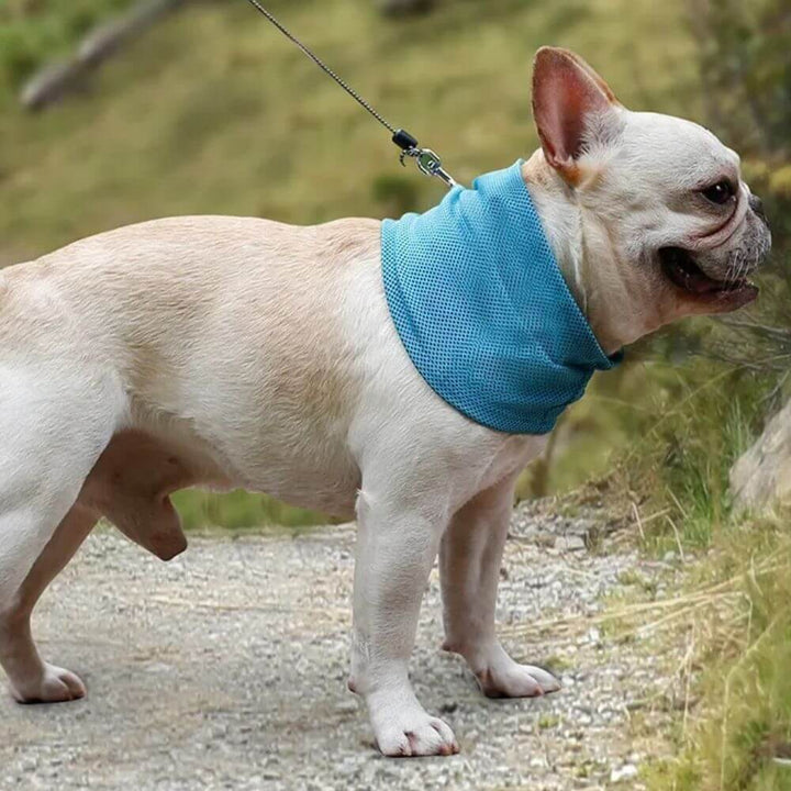 Emmalove - Collier rafraîchissant Cool Comfort™