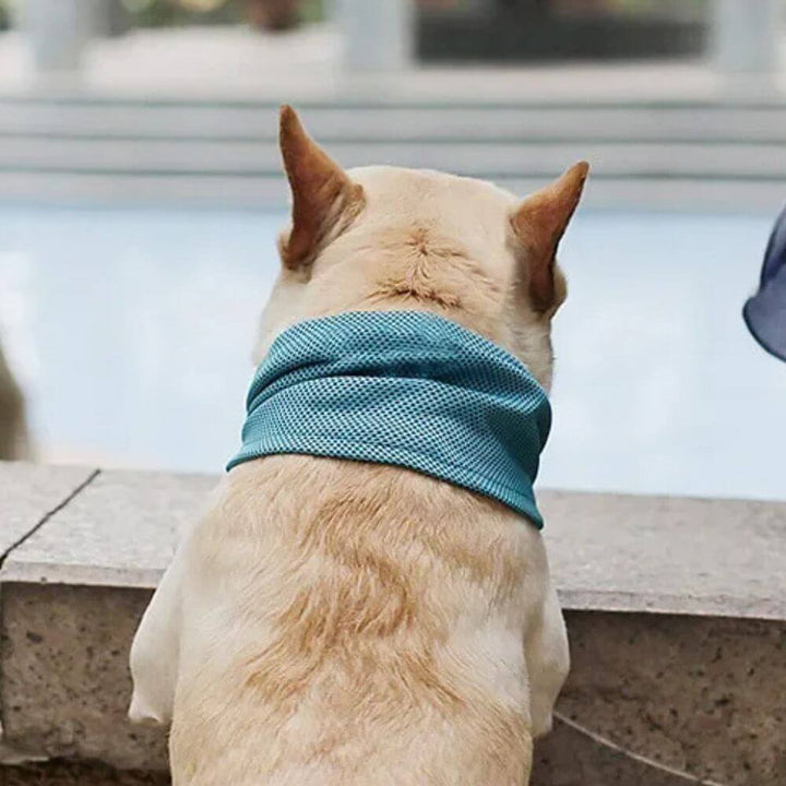 Emmalove - Collier rafraîchissant Cool Comfort™