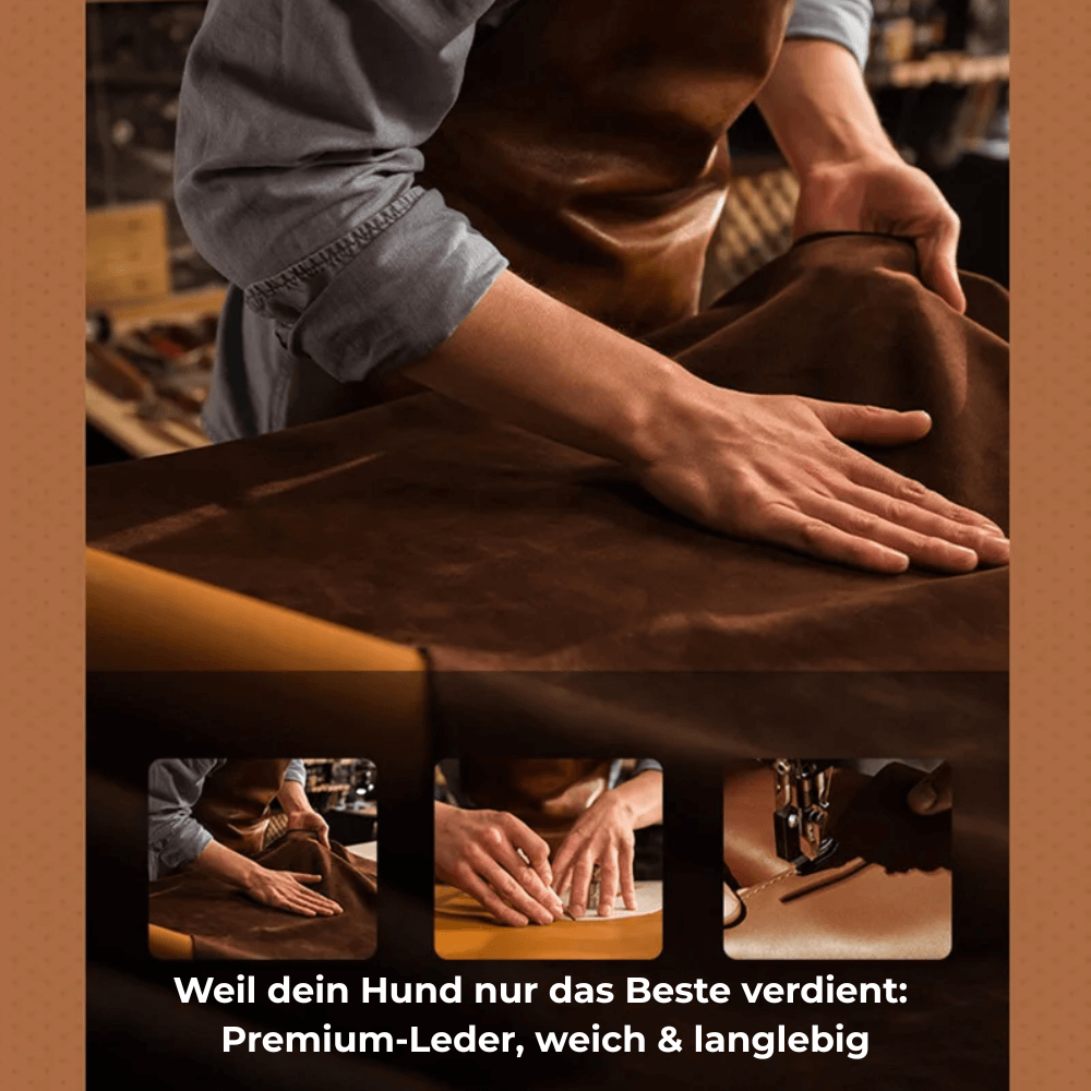 Collier en cuir SafeTrack – avec compartiment AirTag