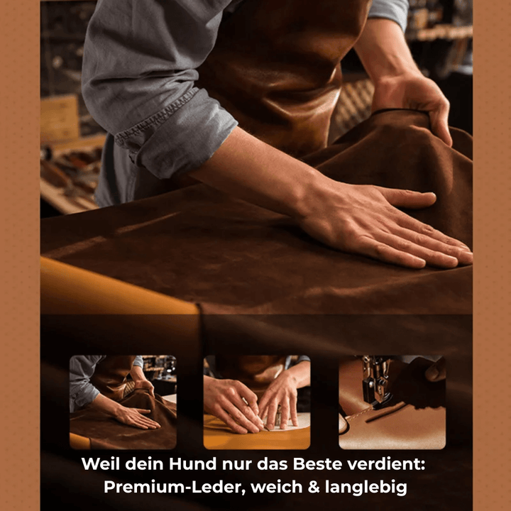 Collier en cuir SafeTrack – avec compartiment AirTag