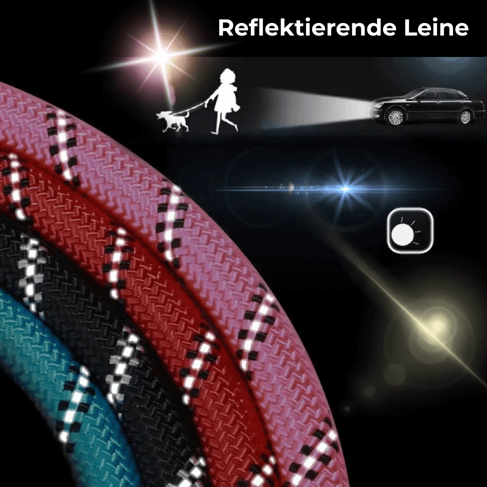 Emmalove - Laisse réfléchissante GlowLeash pour chien