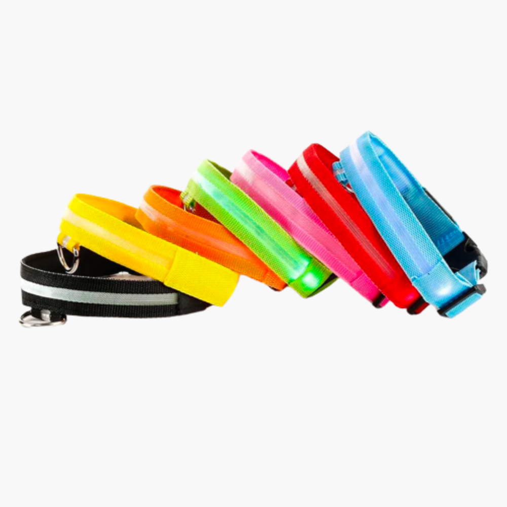 Emmalove - Leuchtendes Halsband