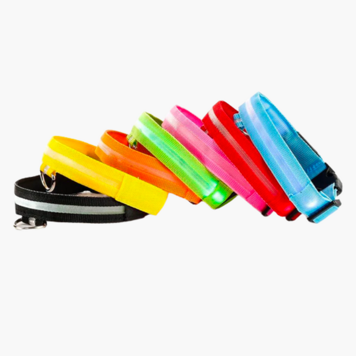 Emmalove - Leuchtendes Halsband