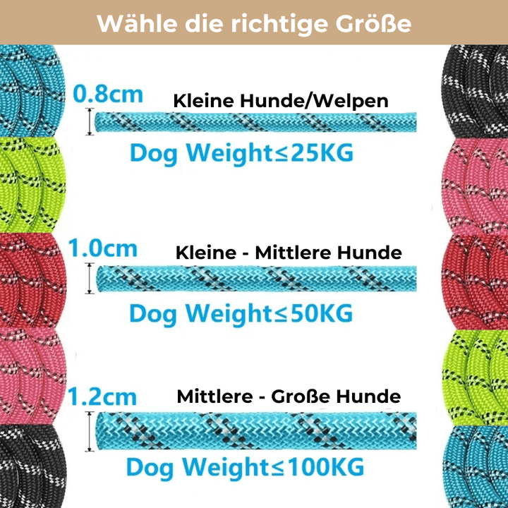 Emmalove - Laisse réfléchissante GlowLeash pour chien