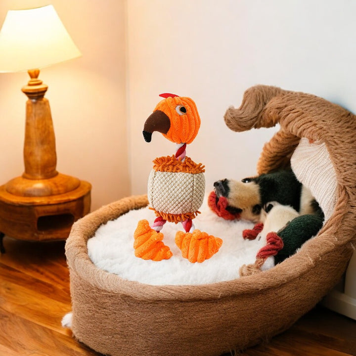 Emmalove - Petra le perroquet