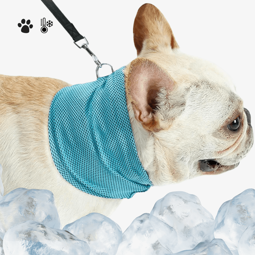 Emmalove - Collier rafraîchissant Cool Comfort™