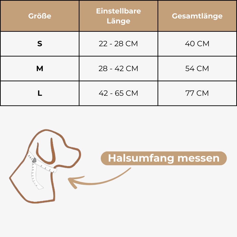 Collier en cuir SafeTrack – avec compartiment AirTag