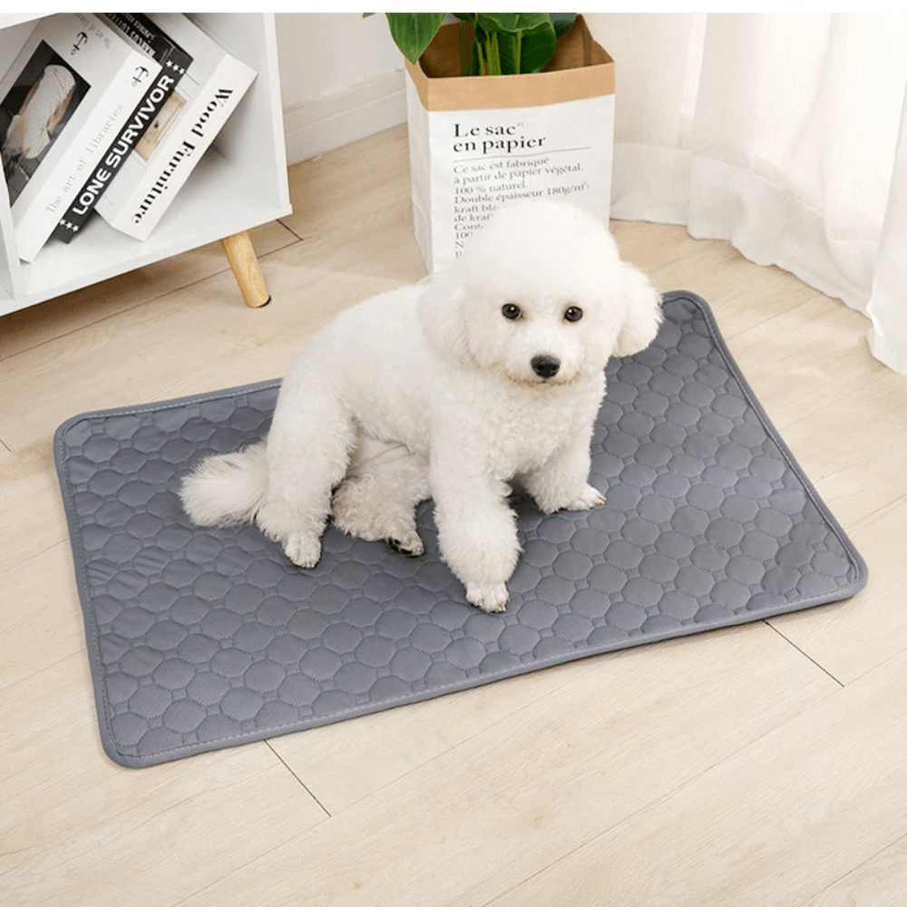 Emmalove – Tapis d'hygiène lavable pour chiens