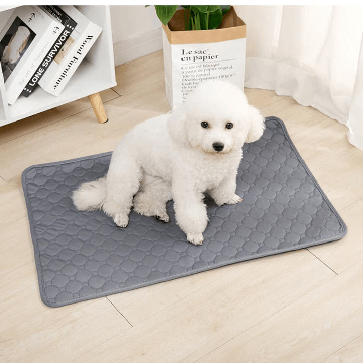 Emmalove – Tapis d'hygiène lavable pour chiens