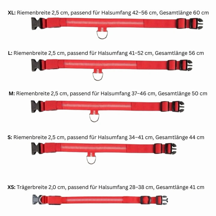 Emmalove - Leuchtendes Halsband