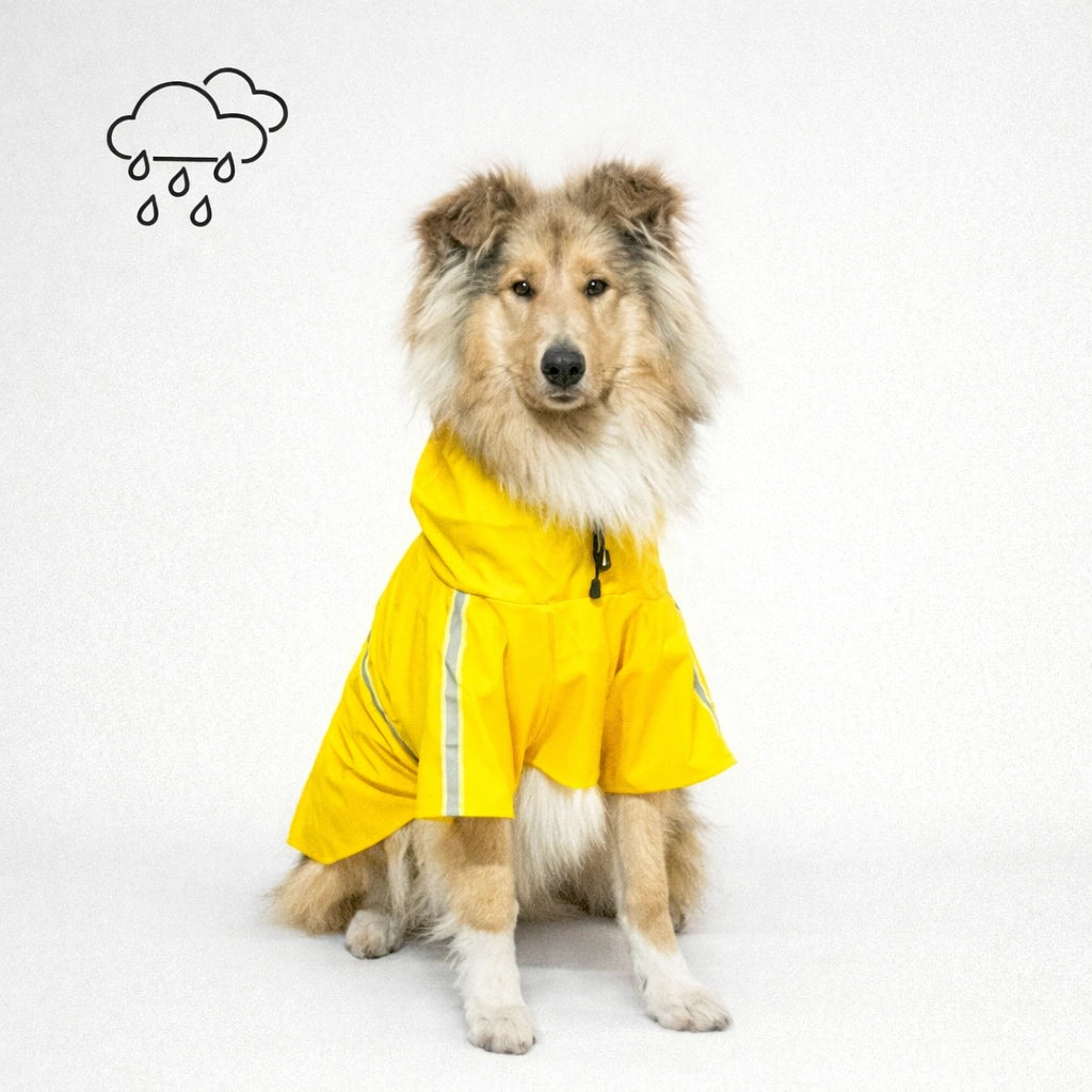 color-yellow