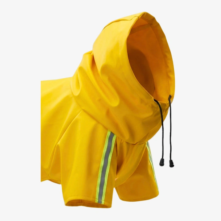 color-yellow