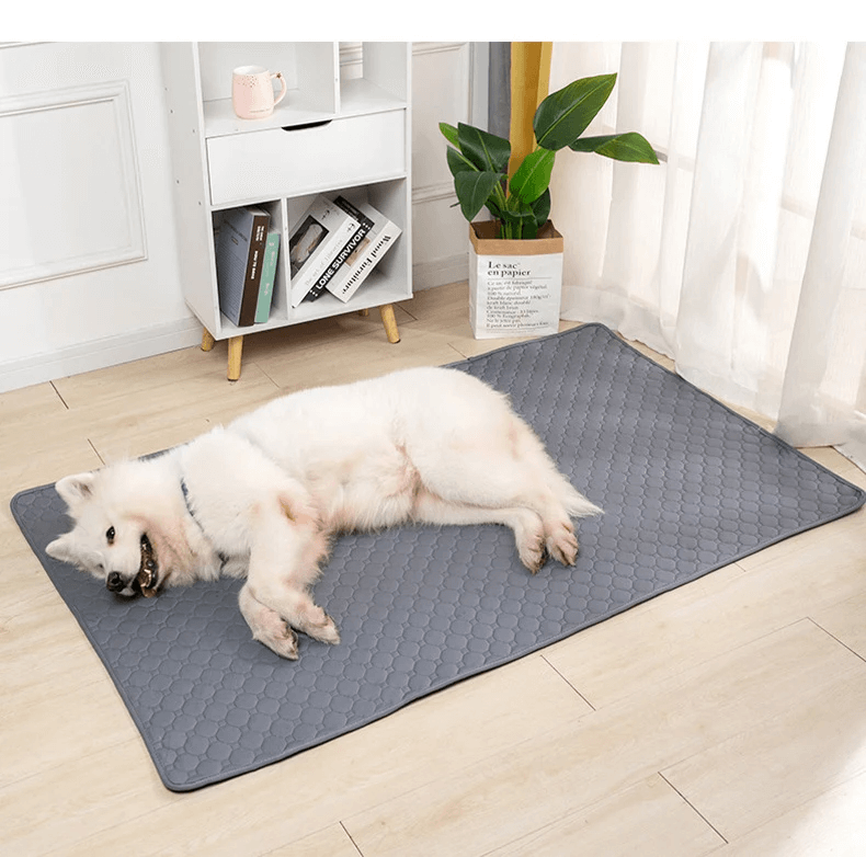 Emmalove – Tapis d'hygiène lavable pour chiens