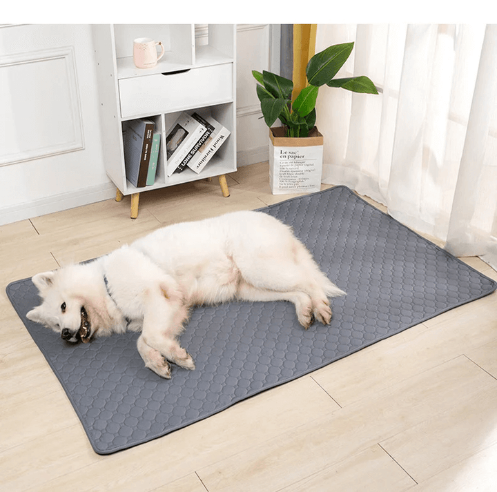 Emmalove – Tapis d'hygiène lavable pour chiens