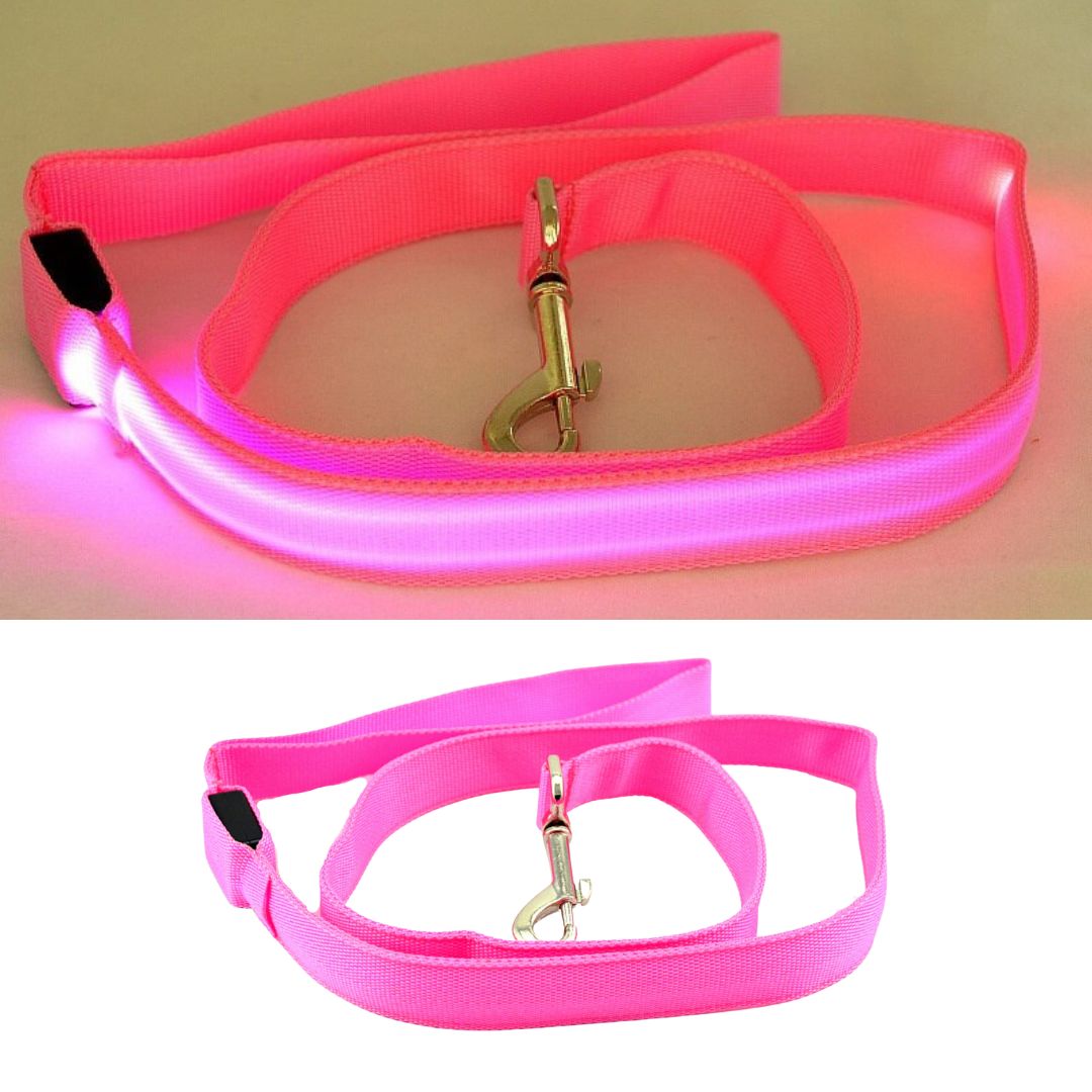 Emmalove - Luminous dog leash