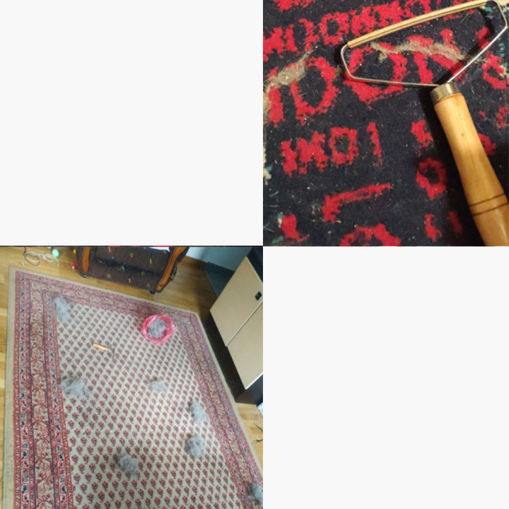 Emmalove - Pet Hair Remover 